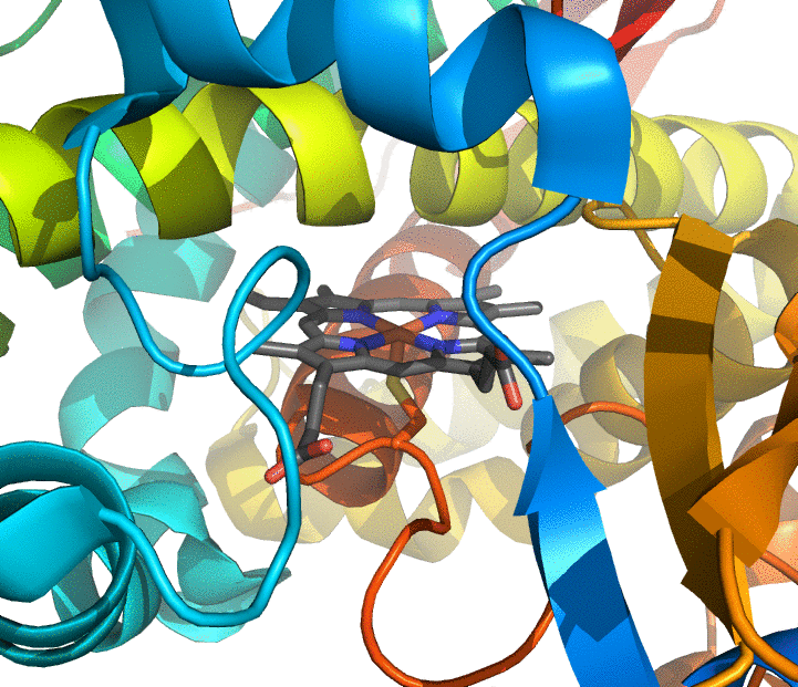 Crystal structure of cytochrome P450 enzyme CYP102A1