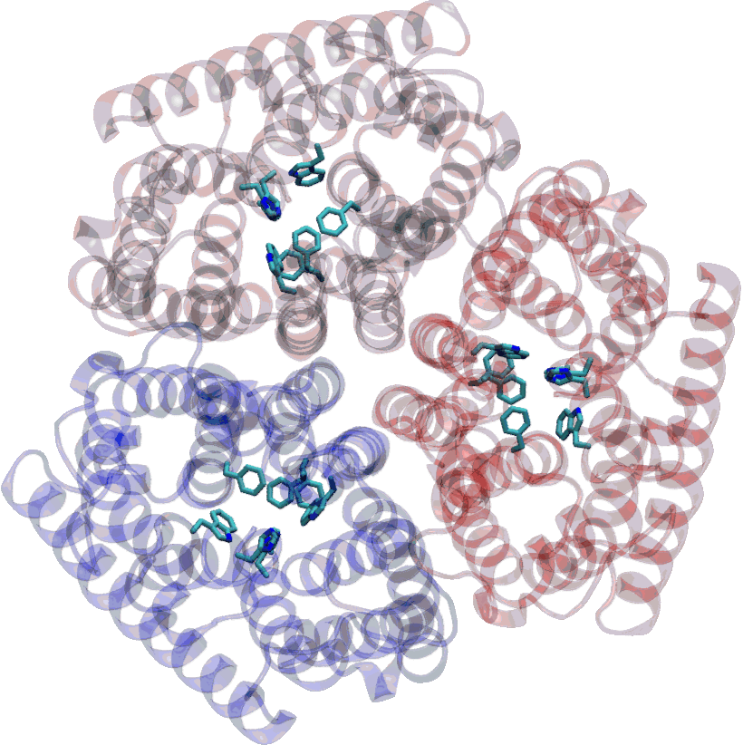 Crystal structure of the AmtB transporter
