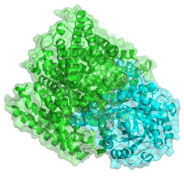 Crystal structure of the AmtB-GlnK complex
